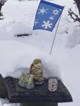 John and Mary Ann Hazel of  Towamensing Township near Palmerton recorded nine inches of snow this weekend. Tommy the turtle offers a prayer of thanks for good neighbors and snow removal equipment.