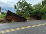 A tree is uprooted on Main Road in Franklin Township. JANA METRO
