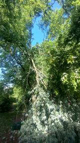 Towamensing Twp. We are thankful for no damage to the house, vehicles or loss of power, but two main branches of our large silver maple were taken down by the wind, right in the center of the tree.  SHERRY FERGUSON