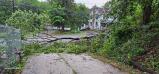 Tree blocking driveway on Main Road in Franklin Township.  JANA METRO/TIMES NEWS