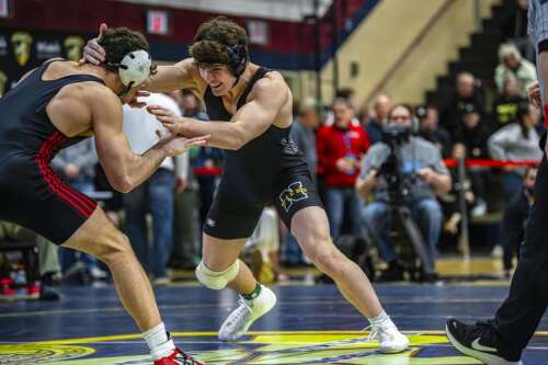 Four Tigers are headed to Hershey