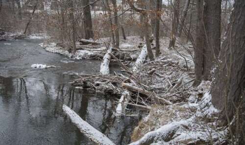 Snow ice blast of arctic to hit region Times News Online