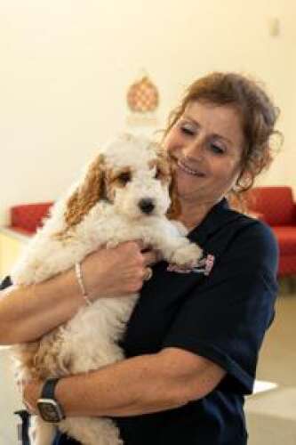 Cetronia Ambulance Corps holds annual health expo