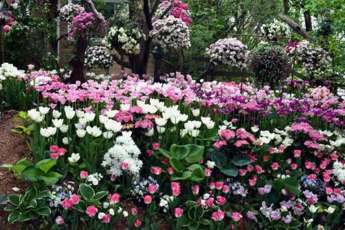 ?uuid=39d147e4-5138-4a99-b043-