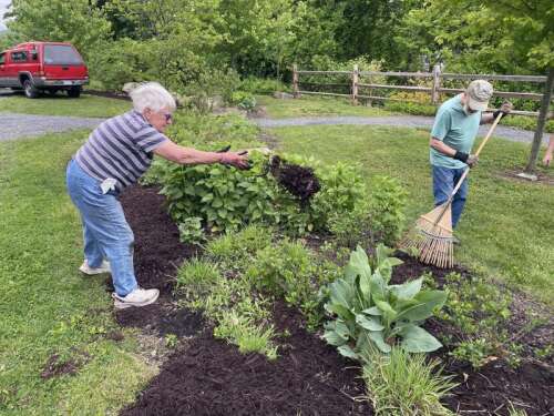 Volunteers spruce up native plant garden in Lehighton – Times News Online - Vimarsana News