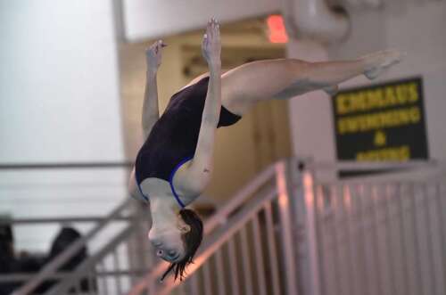 Tamaqua's Jones seventh in 2A diving – Times News Online - Vimarsana News