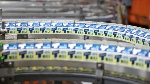 Food dye ban, whole milk in schools part of MAHA push