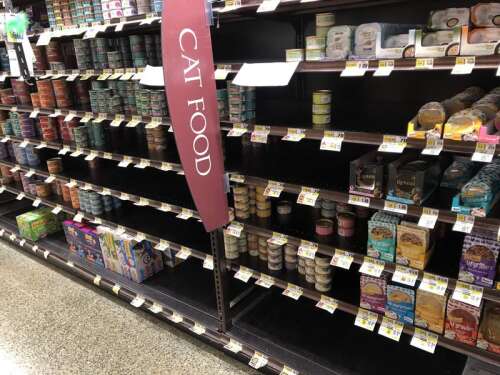 Cat food grocery hotsell