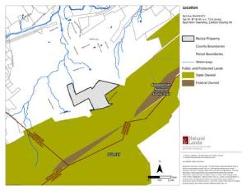 Carbon has first conserved property