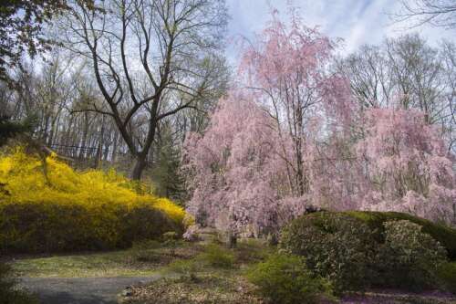 Colors of spring – Times News Online