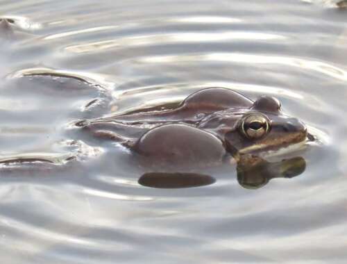 It’s In Your Nature: Can we preserve, protect natural wonders, beauty ...