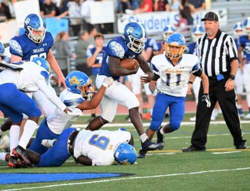 Bears, Bulldogs try to remain undefeated – Times News Online - Vimarsana News