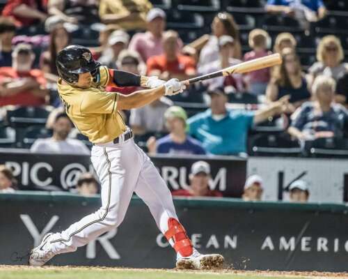 Pigs' Kingery hot as trade deadline nears – Times News Online - Vimarsana News