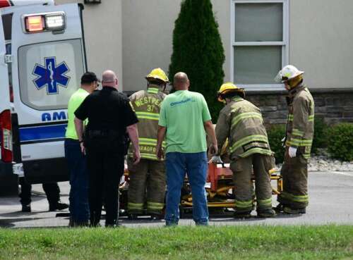 Man injured in tree-cutting accident – Times News Online