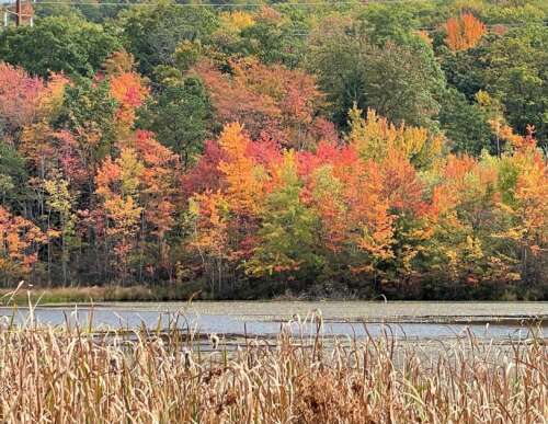 Let the season begin – Times News Online