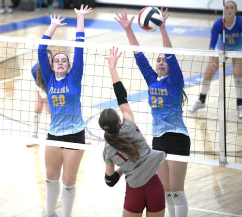 Pine Grove wins five-set thriller against Fillies – Times News Online
