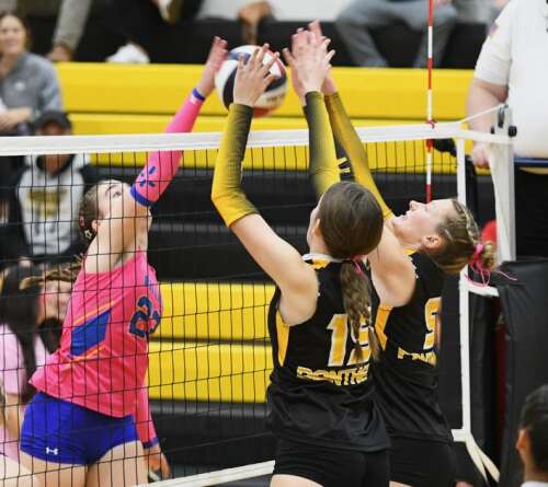 Panther Valley rolls past Marian – Times News Online