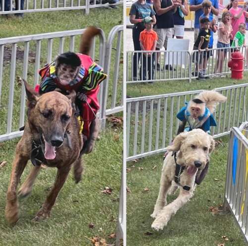 West End Fair Schedule of events – Times News Online