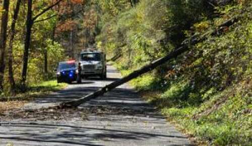 Fallen tree knocks out power lines – Times News Online