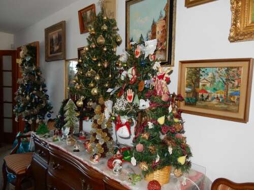 O Christmas Tree Lehighton Home Displays Dozens Of Trees