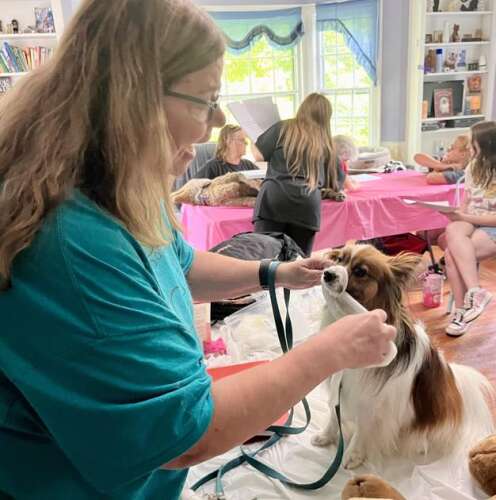 Area rescue group holds training on animal CPR, first aid – Times News ...