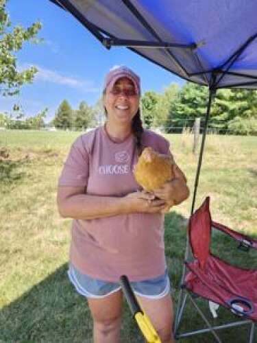 Market Days at Sunset Stables