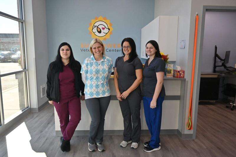 Sunflowers shine at a new veterinary practice Lehigh Valley Press
