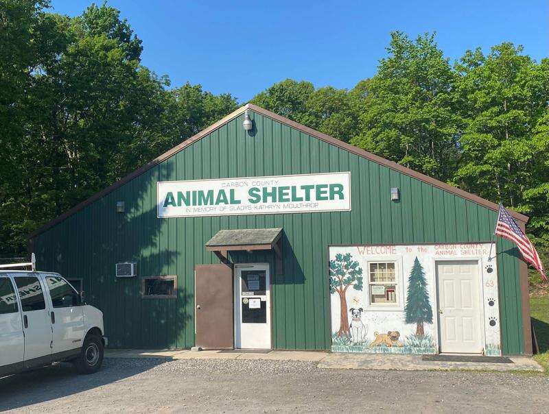 Carbon county animal shelter best sale