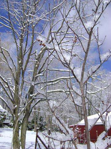 Tips To Capture The Beauty Of Mother Nature Times News Online