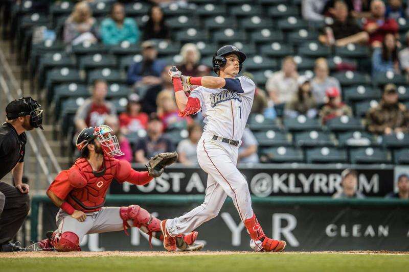 All Star Dogs: Lehigh Valley IronPigs Pet Products