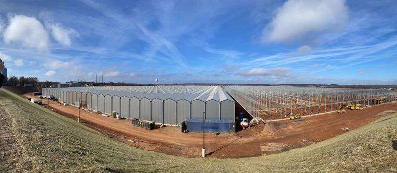 Tops partners with greenhouse grower Little Leaf Farms