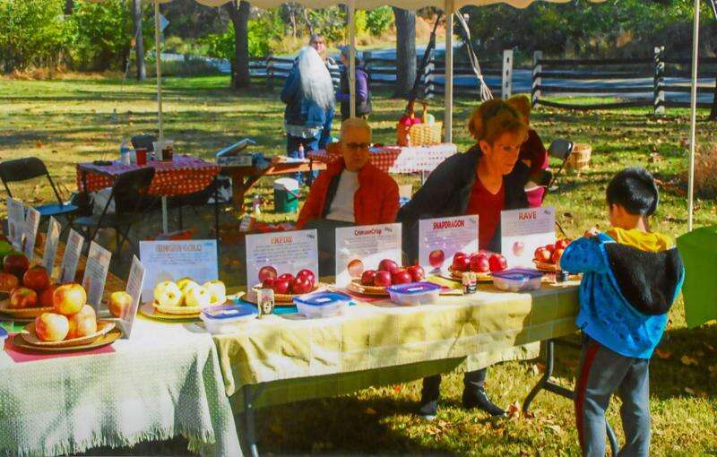 Apple Fest returns to LutzFranklin Lehigh Valley Press