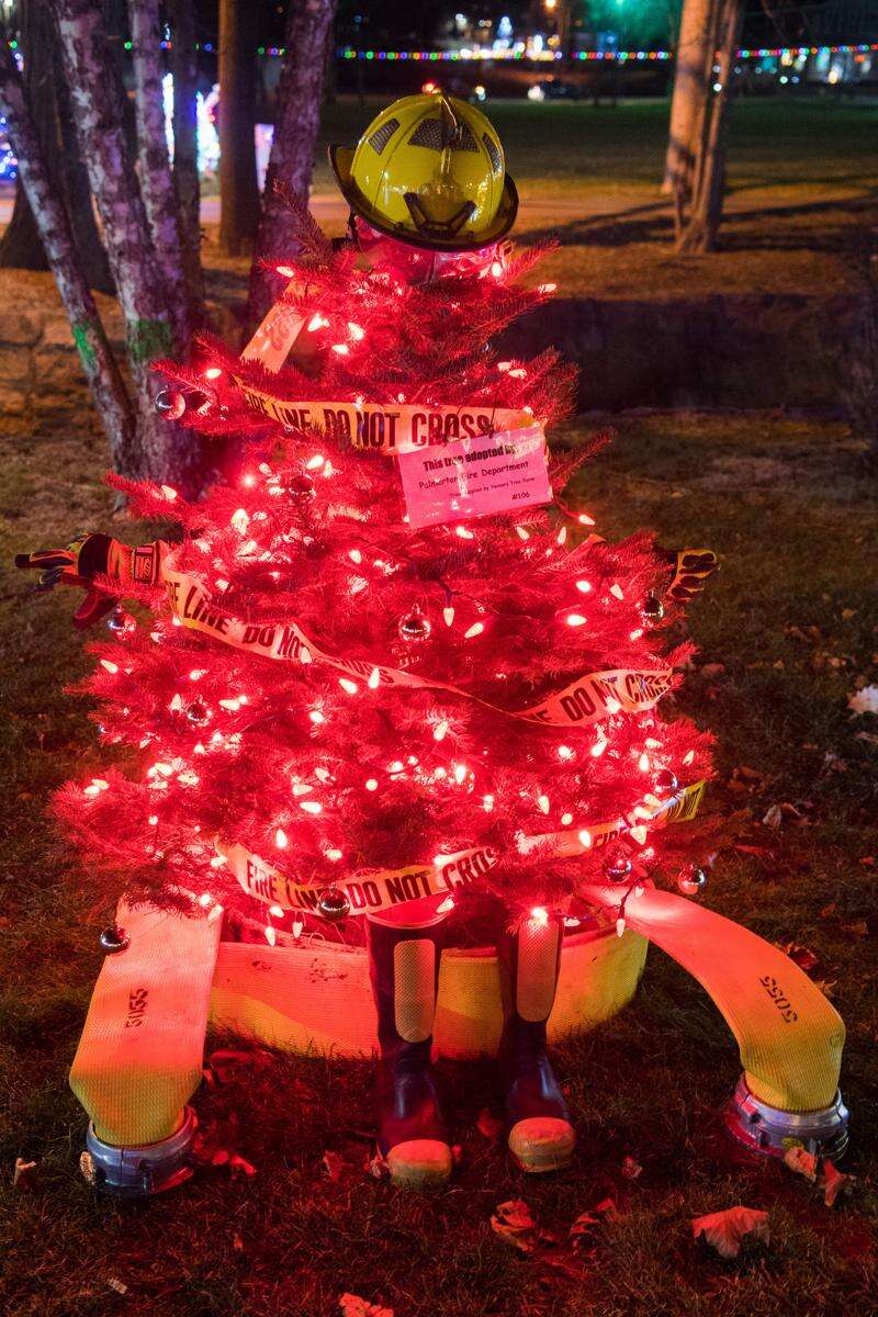 Palmerton Park Christmas Lights 2021 Oh The Lights Of Christmas Times News Online