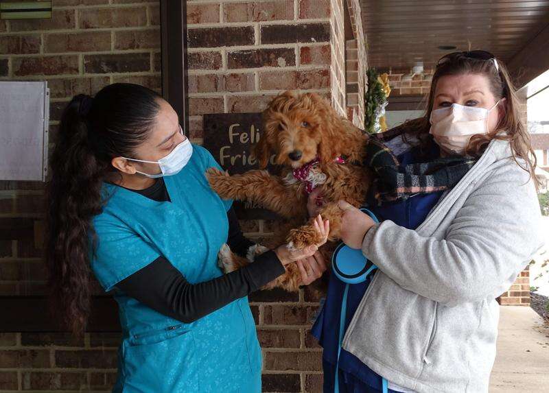 Vca covington 2025 animal hospital