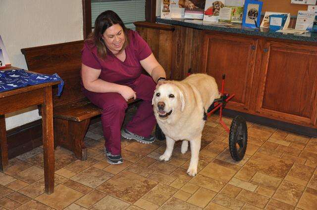 Lehighton Vet Buys Two Animal Hospitals Times News Online
