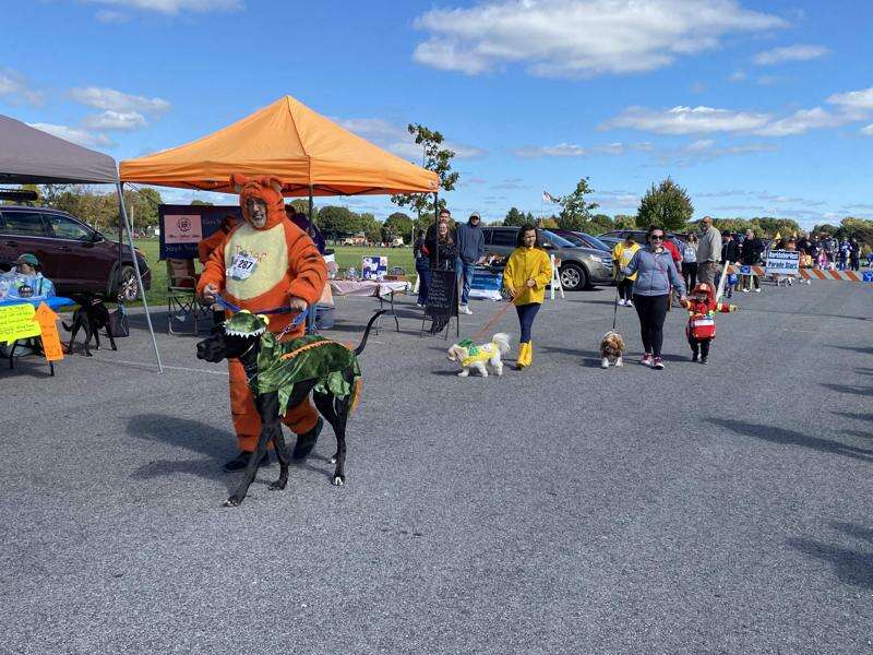 BARKTOBERFEST Canines, companions celebrate 10th anniversary Lehigh Valley Press