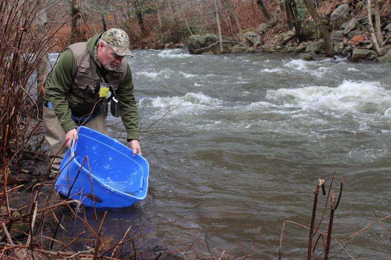 Trout stocking begins as opening day approaches – Times News Online