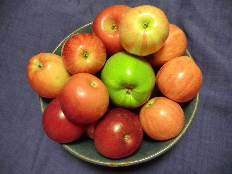 Growing Green: How about them pome fruits? Lehigh Valley Press