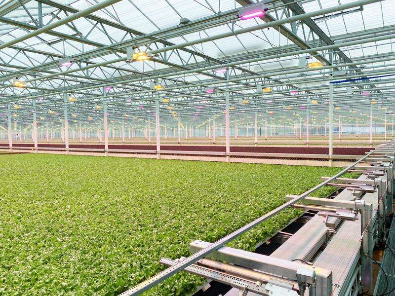 Little Leaf Farms to Expand in Pennsylvania