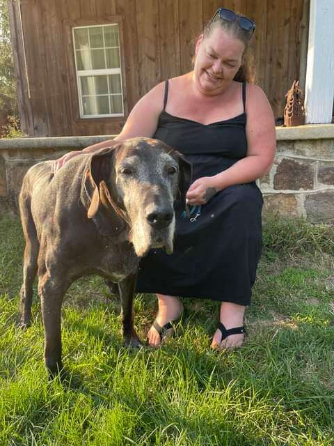 Great discount dane care