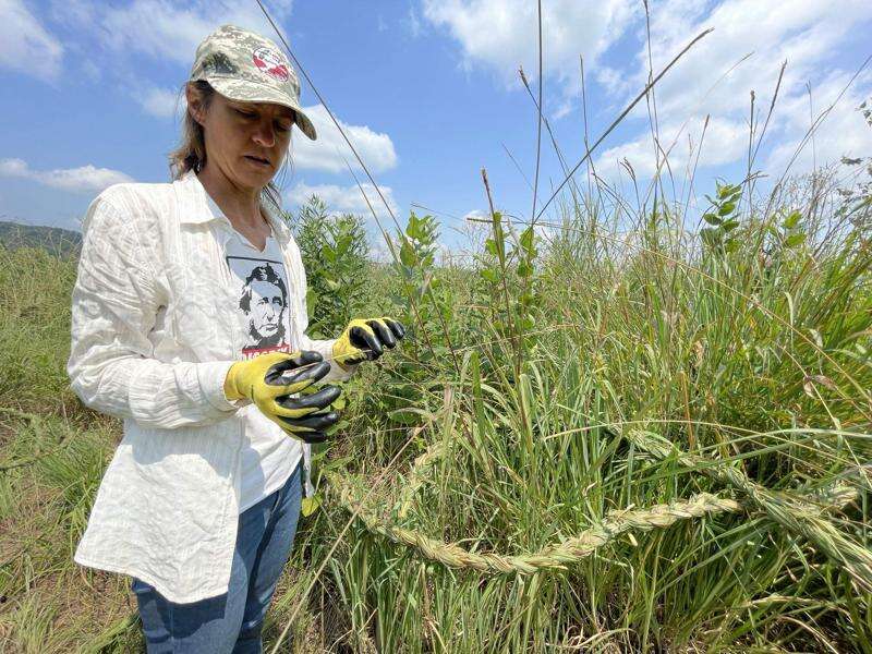 Nature Finds: Weaving