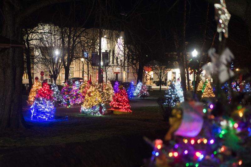 Palmerton Park Christmas Lights 2021 Oh The Lights Of Christmas Times News Online