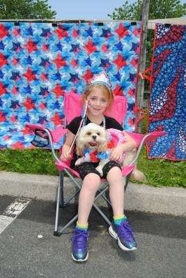 Cava shichon hot sale