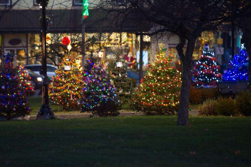 Palmerton Park Christmas Lights 2021 Oh The Lights Of Christmas Times News Online