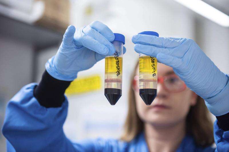 UK is first to authorize easy-to-handle AstraZeneca vaccine - Times News Online