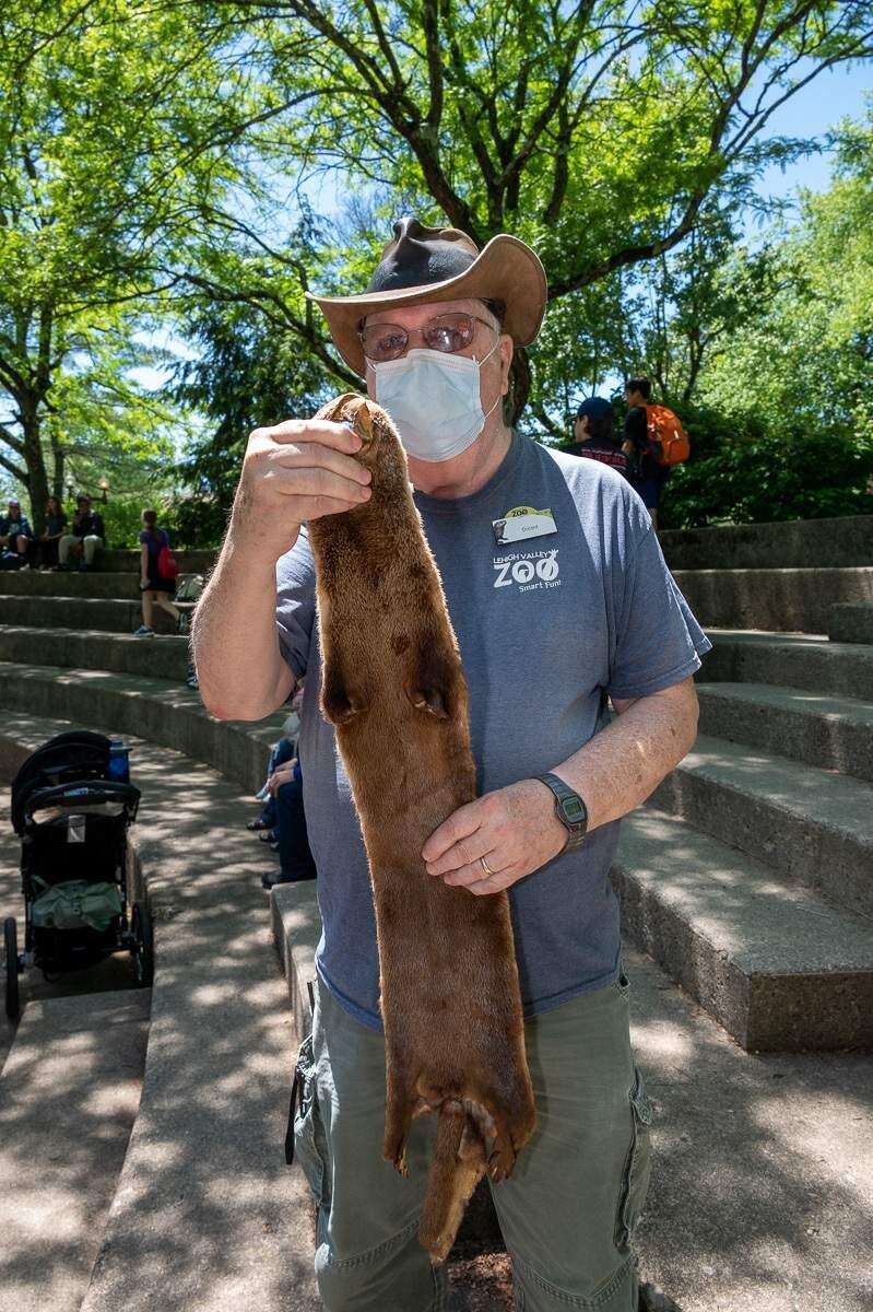 WORLD OTTER DAY Otters entertain students at Lehigh Valley Zoo Lehigh