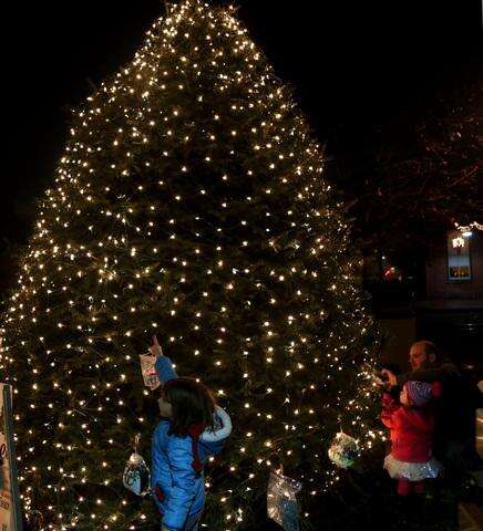 Tree Lighting Caps Tamaqua Celebration Times News Online