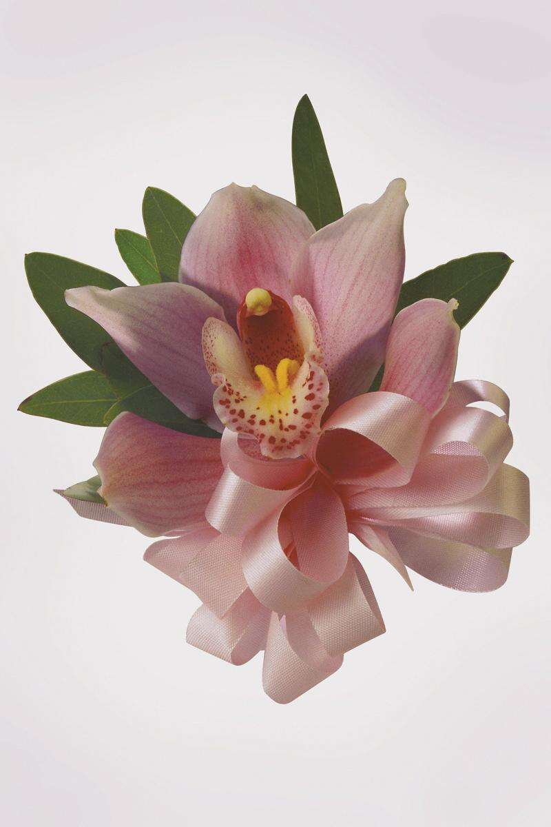 Corsage Do S And Don Ts Times News Online