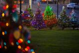 Lighted trees line the park in Lehighton.