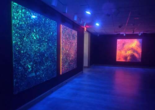 Allentown Art Museum opens ‘Dark Matter’ exhibit | Times News Online